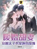 《暖婚甜妻：京圈太子爷宠坏小玫瑰！》小说封面