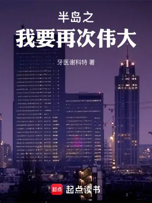 《半岛之我要再次伟大》小说封面