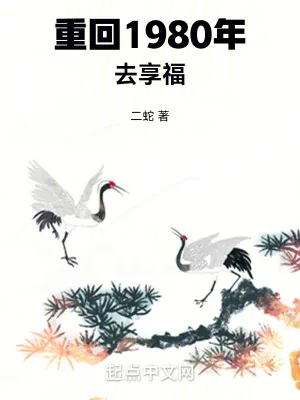《重回1980年去享福》小说封面