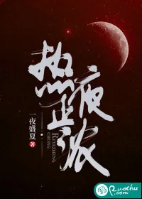 《热夜正浓》小说封面