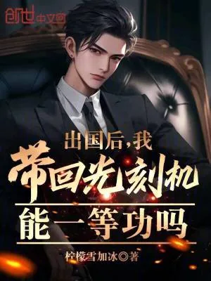 《出国后,我带回光刻机能一等功吗》小说封面