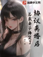 《协议离婚后:总裁妻子悔哭了》小说封面