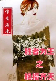 《胜者为王之艳福齐天》小说封面
