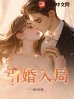 《引婚入局》小说封面