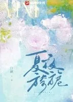 《夏夜旖旎》小说封面