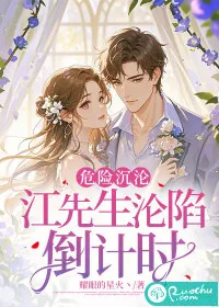 《危险沉沦：江先生沦陷倒计时》小说封面