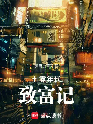 《七零年代致富记》小说封面