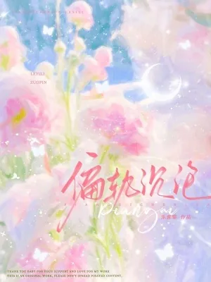 《偏轨沉沦》小说封面