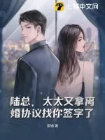 《陆总,太太又拿离婚协议找你签字了》小说封面