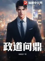 《政道问鼎》小说封面