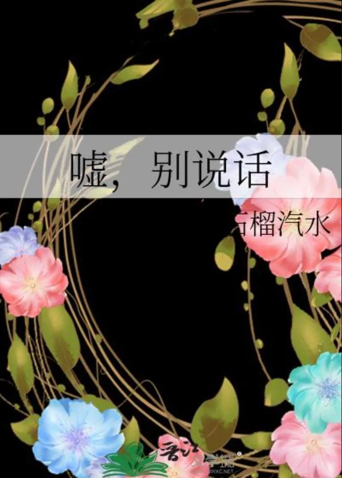 《嘘,别说话》小说封面