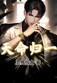 《天命归一》小说封面