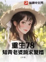 《重生78，知青老婆跪求复婚》小说封面