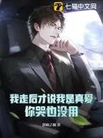 《我走后才说我是真爱,你哭也没用》小说封面