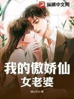 《我的傲娇仙女老婆》小说封面