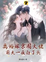 《离婚嫁京圈大佬，前夫一夜白了头》小说封面