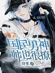 《国民男神很帅也很撩》小说封面