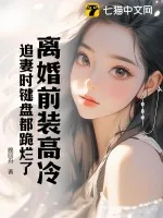 《离婚前装高冷，追妻时键盘都跪烂了》小说封面