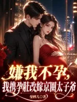 《嫌我不孕?我携孕肚改嫁京圈太子爷》小说封面