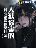 《入狱你害的，封心锁爱你哭什么》小说封面