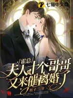 《霍总,夫人的十个哥哥又来催离婚了》小说封面