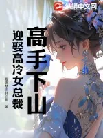 《高手下山，迎娶高冷女总裁》小说封面