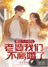 《重生八十年代:老婆我们不离婚了》小说封面
