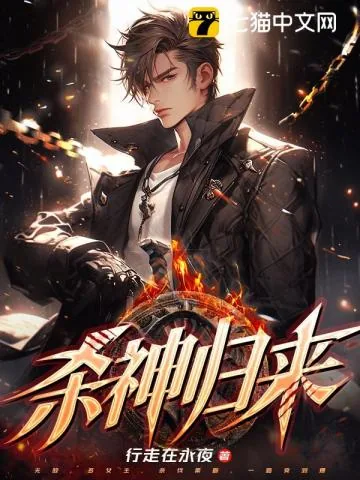 《杀神归来》小说封面