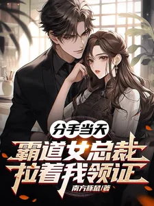 《分手当天，霸道女总裁拉着我领证》小说封面
