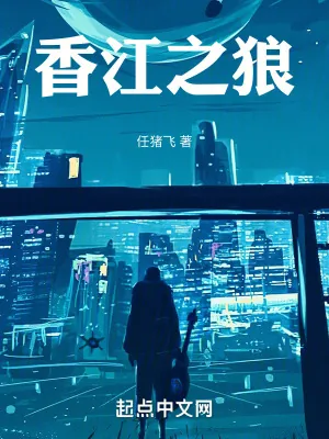 《香江之狼》小说封面