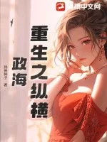 《重生之纵横政海》小说封面