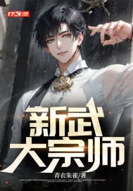 《新武大宗师》小说封面