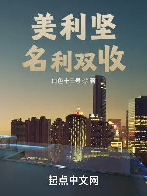 《美利坚名利双收》小说封面