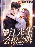 《不怕她清冷，江先生会撩会哄》小说封面