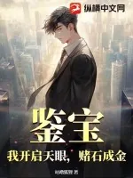 《鉴宝：我开启天眼，赌石成金》小说封面