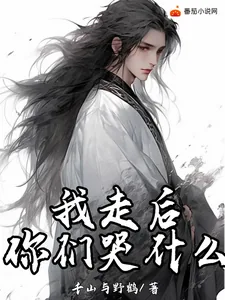 《我走后,你们哭什么?》小说封面