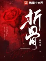 《折骨》小说封面