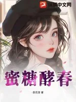 《蜜糖酵春》小说封面