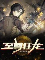 《至尊狂龙》小说封面