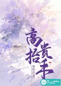 《高抬贵手》小说封面