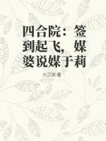 《四合院：签到起飞，媒婆说媒于莉》小说封面