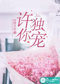 《许你独宠》小说封面
