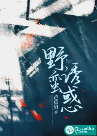 《野蛮诱惑》小说封面