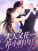 《总裁,夫人又花你的钱养小鲜肉了》小说封面