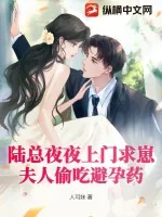 《陆总夜夜上门求崽,夫人偷吃避孕药》小说封面