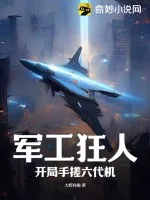 《军工狂人，开局手搓六代机》小说封面