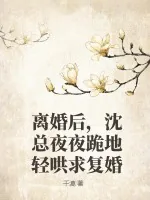 《离婚后，沈总夜夜跪地轻哄求复婚》小说封面