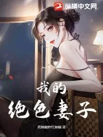 《我的绝色妻子》小说封面