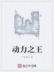 《动力之王》小说封面