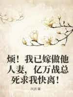 《烦!我已嫁做他人妻,亿万战总死求我快离!》小说封面